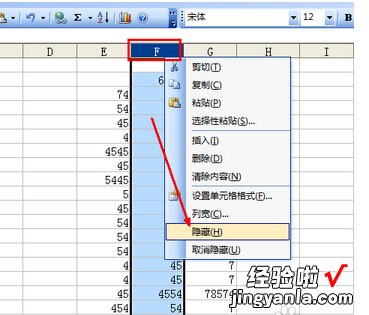 excel中如何隐藏某一列数据 excel怎样隐藏某行