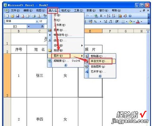 怎么在excel表格中插入图片 excel表格怎么插入图片