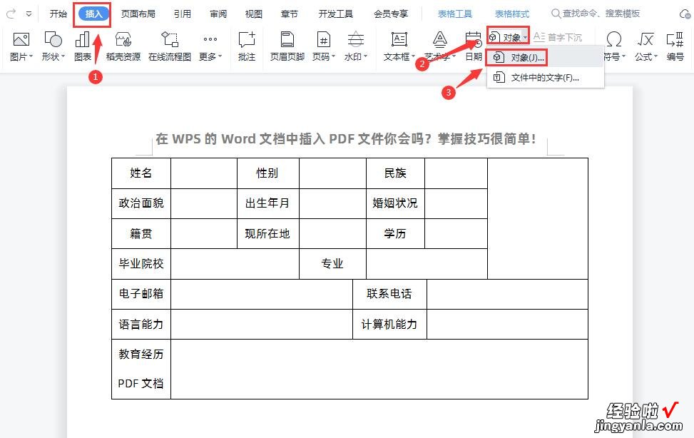 在WPS的Word文档中插入PDF文件你会吗？掌握技巧很简单！