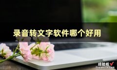 这篇文章告诉你好用的录音转文字软件有哪些