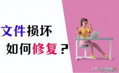 文件损坏怎么修复？这4个方法你会吗？