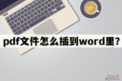 word文件怎么添加pdf pdf文件怎么插到word里