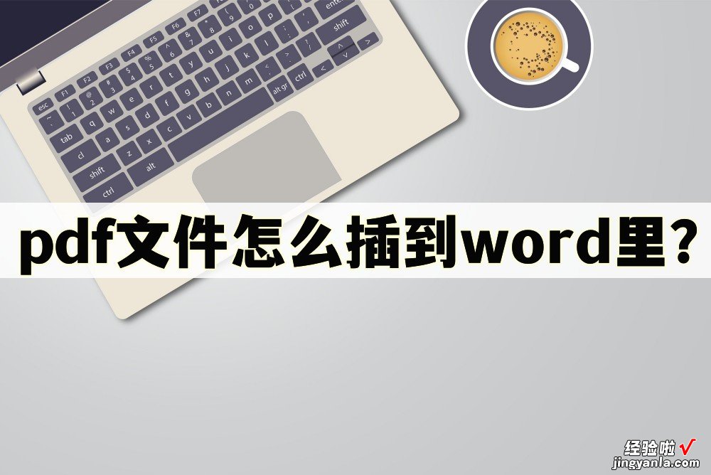 word文件怎么添加pdf pdf文件怎么插到word里