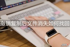 word撤回后怎么找回 撤销复制后文件消失如何找回