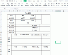 Excel表格插入大图别再一点一点调整大小了，这个小技巧几秒搞定