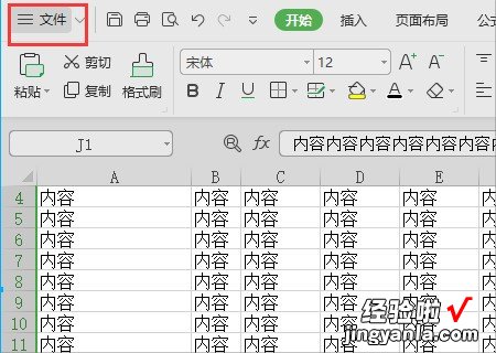 怎么把excel里的表格变大 excel表格中怎么把表格变大