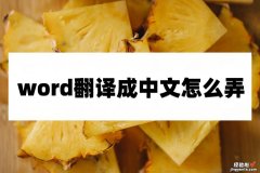 word界面怎么变为中文 word翻译成中文怎么弄