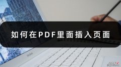 word中怎么插页面 如何在PDF里面插入页面