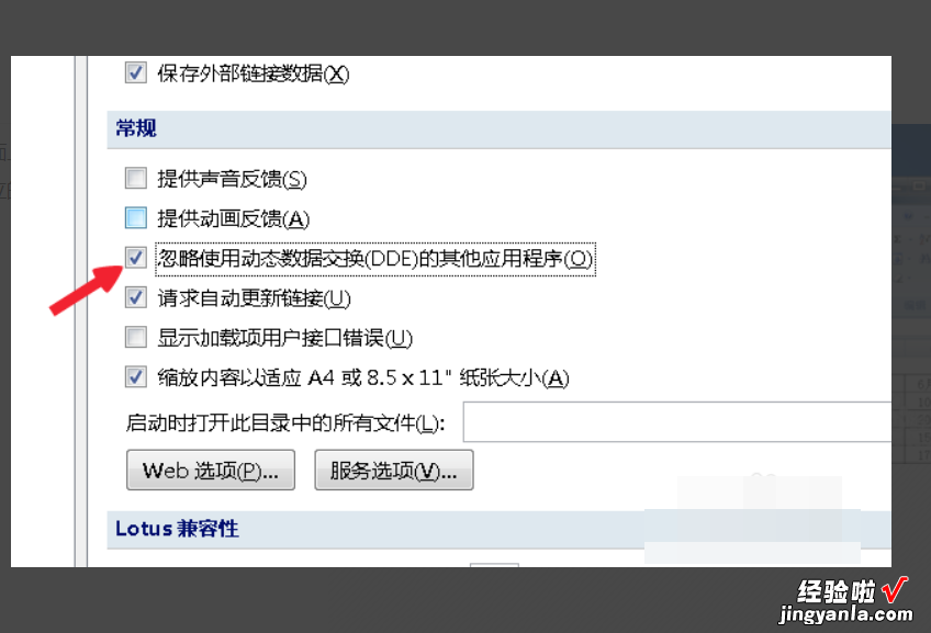 excel表格如何变成两个完全独立的窗口 如何在excel中打开两个独立窗口