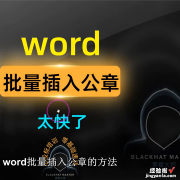 怎么在word里盖章 word批量插入公章盖章