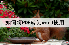 知页怎么转成word 如何将PDF转为word使用