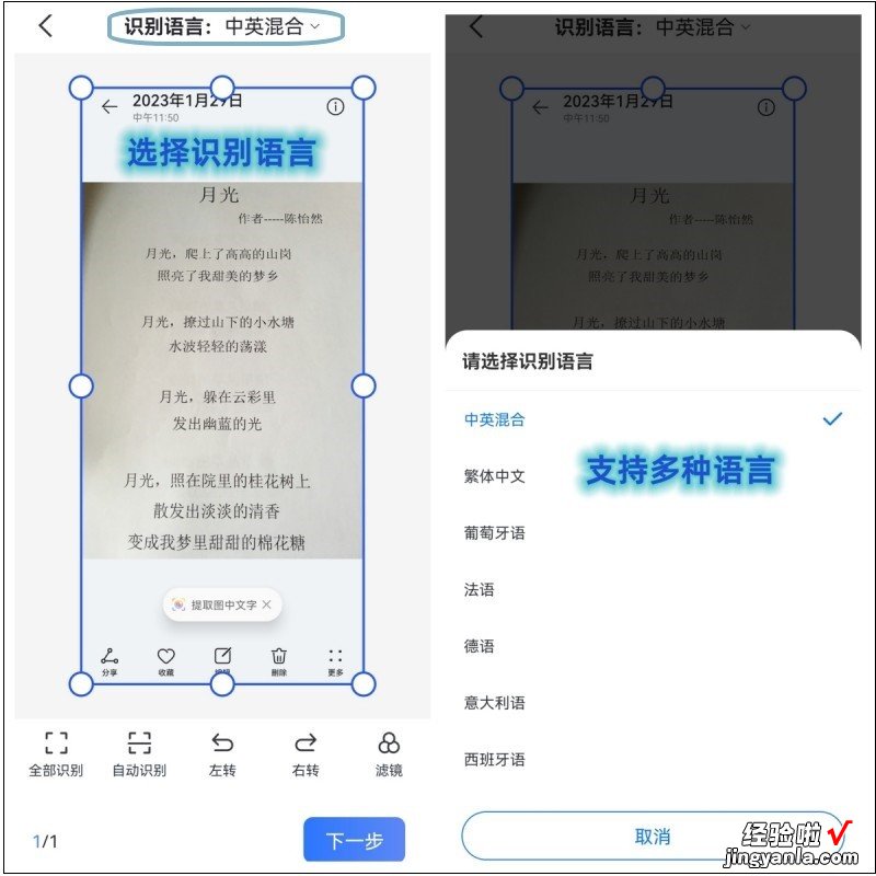 照片怎么移到word里 照片转换成word文档