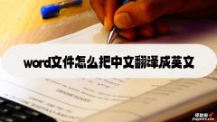 word怎么中文英文对应 word文件怎么把中文翻译成英文