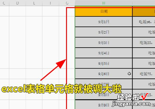 excel表格行高怎么调 excel表格中怎样调整行高