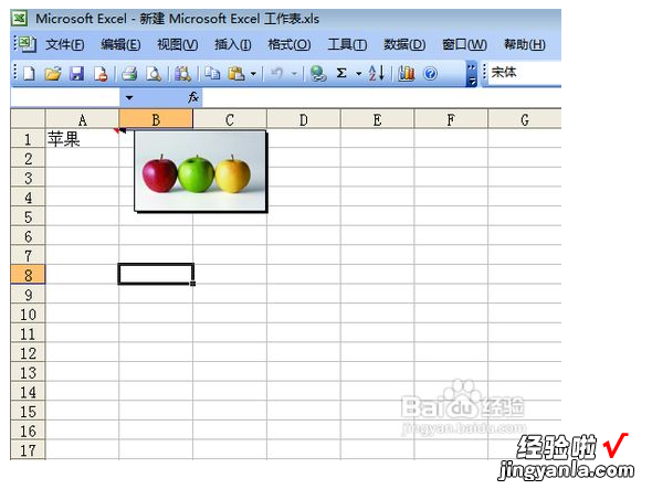 怎么在excel表格中隐藏图片 excel的图片怎样隐藏