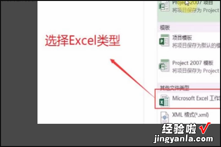 文档怎么转换成excel格式 怎么把project转成excel