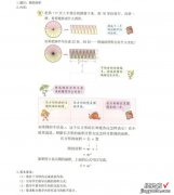 求收藏转发：考教师必写的教案万能模板