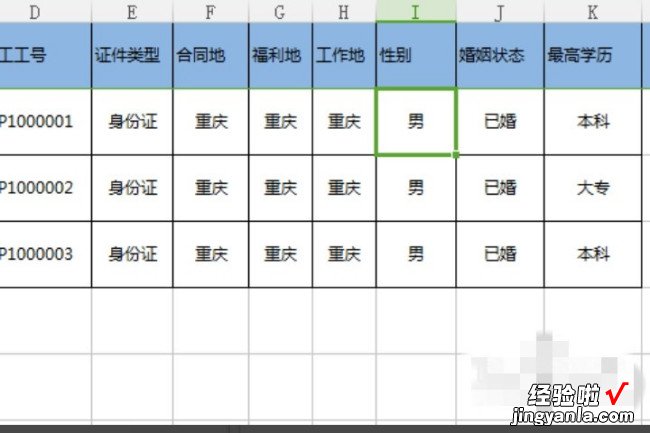 excel表格中怎么设置选择项 excel表中的选项怎么设置