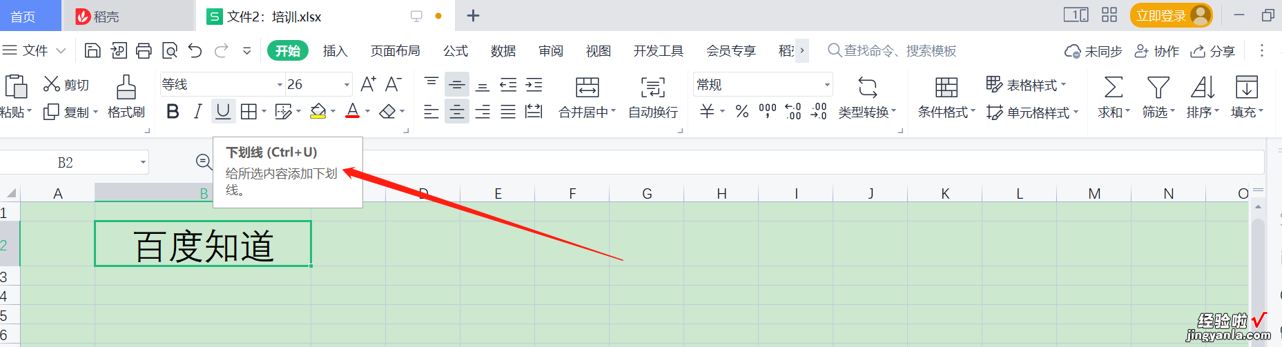 如何在excel里打出下划线和大横线 excel怎么在字体下方加横线