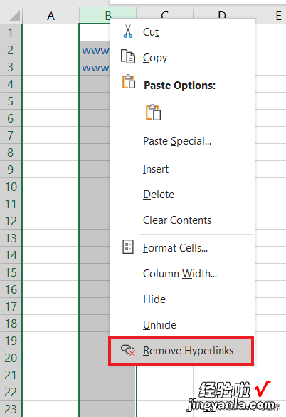 Excel – 输入网址时会产生超链接，有几种办法取消？