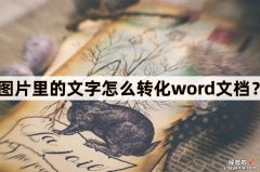 word怎么图片改文字 图片里的文字怎么转化word文档