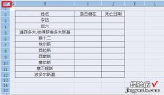 excel如何将整张表格复制过来 excel复制很多页怎么把页数排进去