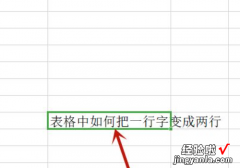 Excel表格里如何打两行字 excel表格中怎么把字变成两行