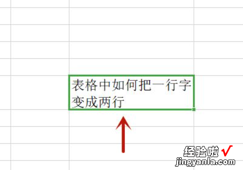 Excel表格里如何打两行字 excel表格中怎么把字变成两行