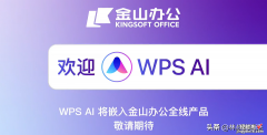 让我们欢迎新同学：WPS AI