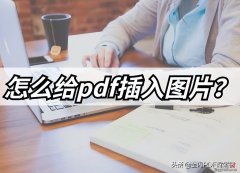 怎么使用PDF编辑器在PDF中插入图片？PDF插入图片的教程