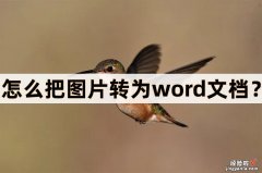 怎么把图片倒入word 怎么把图片转为word文档