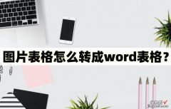 图片怎么转成word图表 图片表格怎么转成word表格