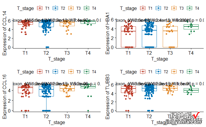 R语言ggboxplot-一文掌握箱线图绘制所有细节