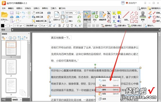 pdf里怎么放入word word里插pdf文件内容