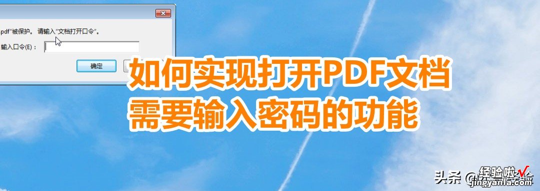 如何实现打开PDF文档需要输入密码的功能