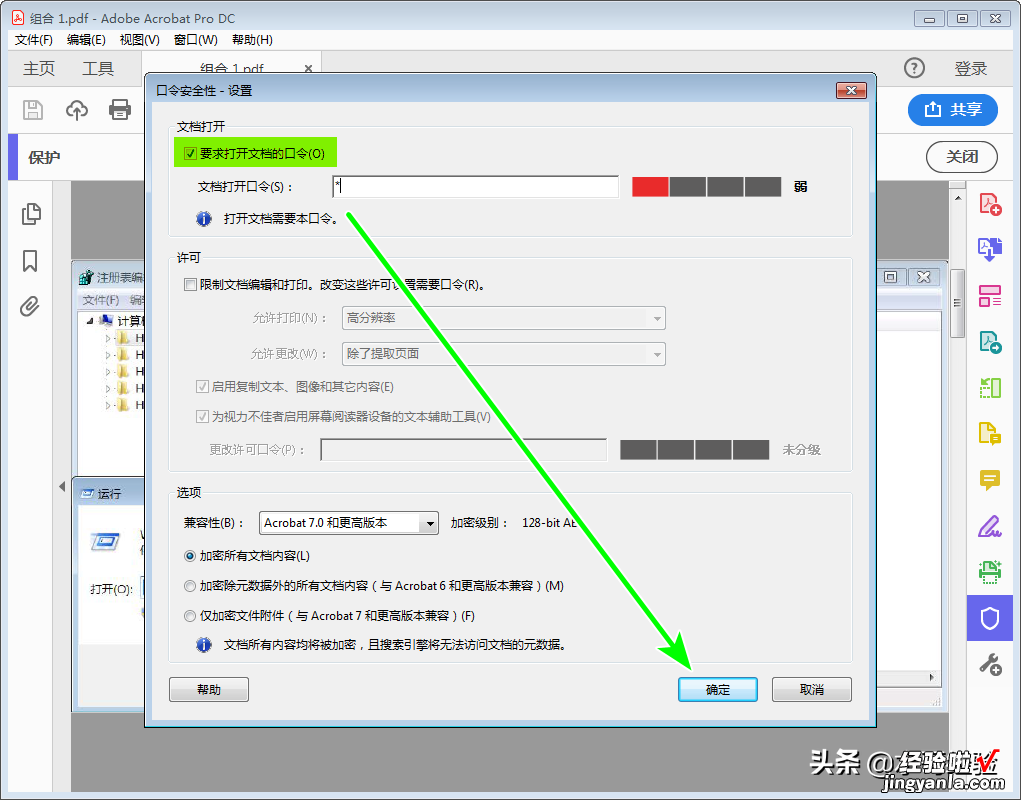 如何实现打开PDF文档需要输入密码的功能