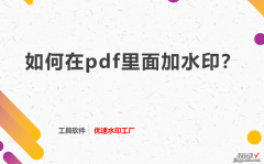 如何在pdf里面加水印？