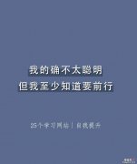 熬夜整理25个学习网站｜提升自我必收藏