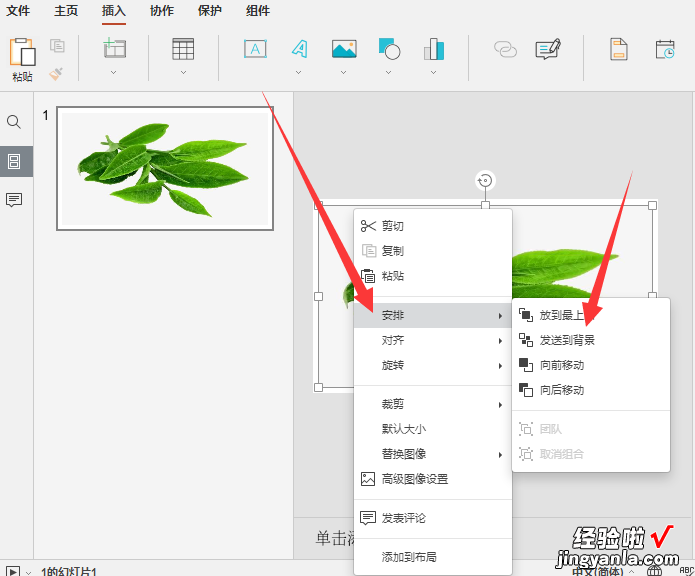 ppt如何将图片设置为背景 ppt怎么把图片设置成背景