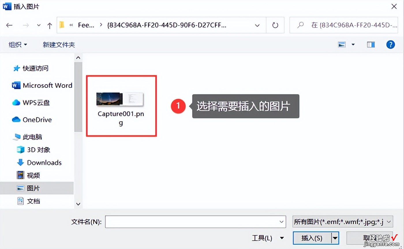 怎么在word里加相片 word如何插入图片