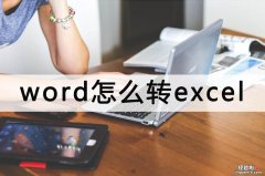 word怎么转到表格里 word怎么转excel