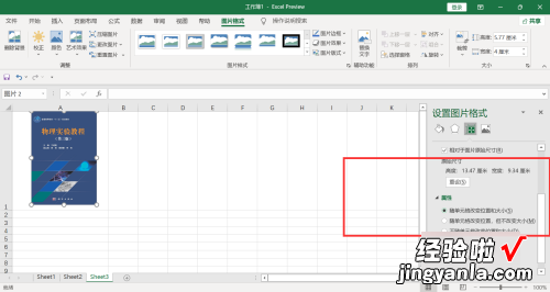 表格怎样把图片固定住 在excel中插入图片时如何把图片固定