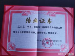 常见病虫害防治方法 如何防治病虫害