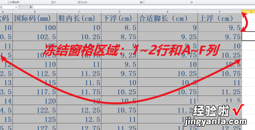 excel如何冻结单元格 电脑excel表格中冻结窗格功能怎么使用