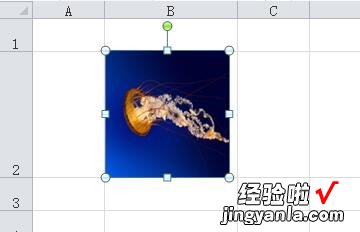 excel图片大小怎样适应表格的大小 excel图片自动适应表格大小的方法