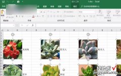 excel表格怎样才能让姓名在表格中间 excel如何将图片设置中间居中