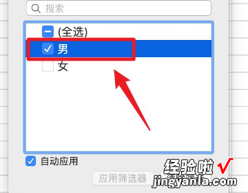 excel怎么按性别筛选男女数据 excel男女性别选择公式设置