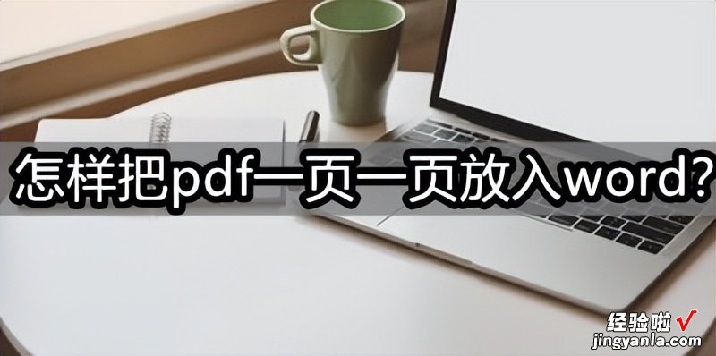 pdf怎么加进word里 怎样把pdf一页一页放入word