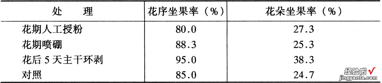 如何提高枣树坐果率-简述提高果树坐果率技术措施有哪些