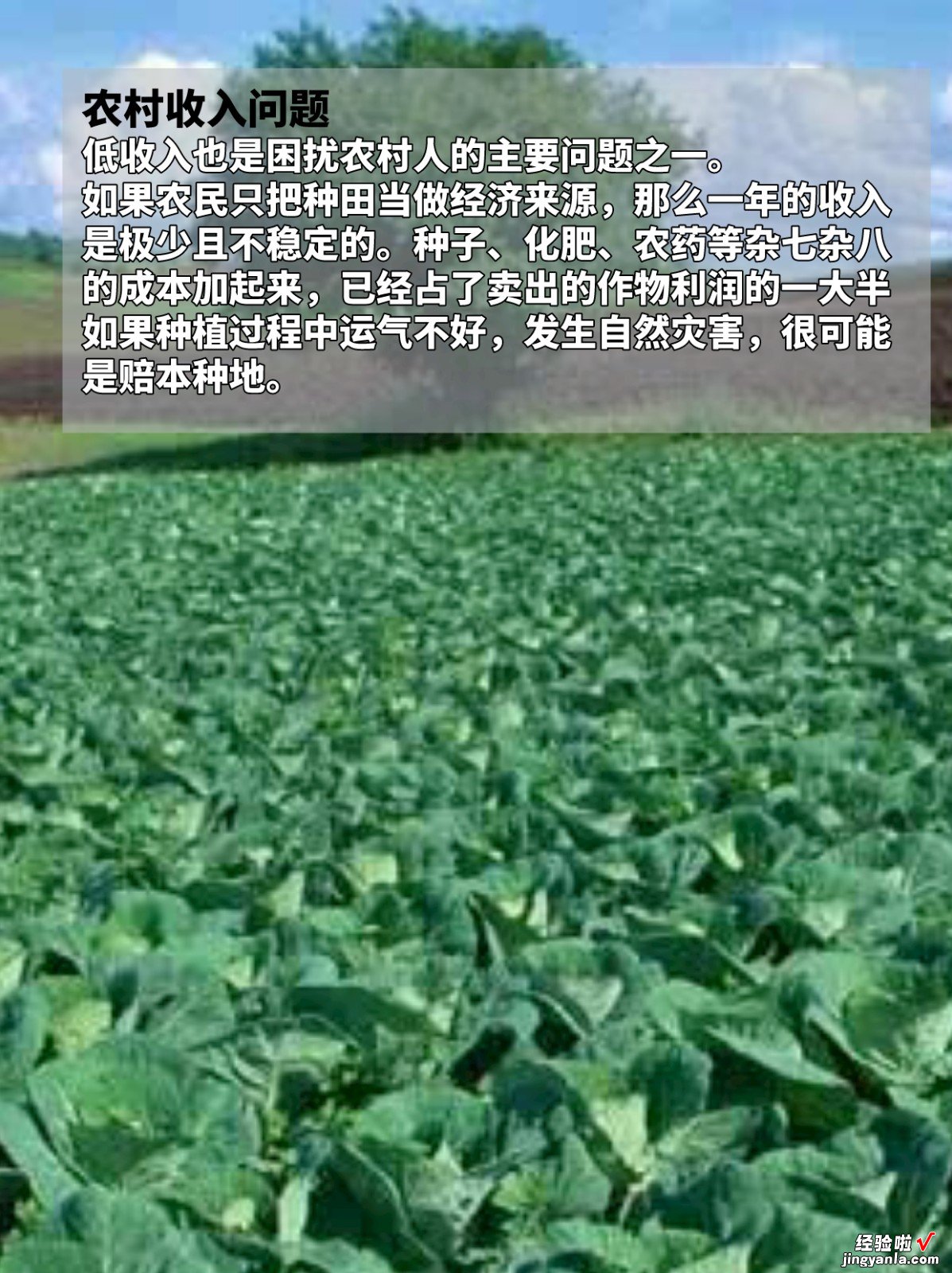如何解决看病难-解决农村问题不难